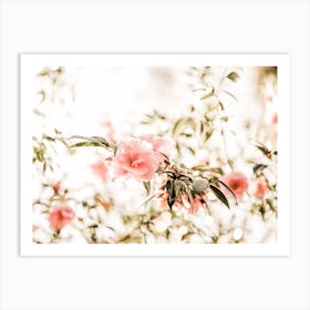 Pink Flower Branches Art Print