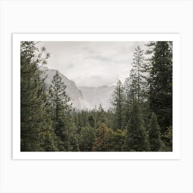 Yosemite Forest Art Print