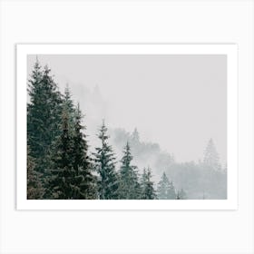 Dense Forest View Art Print