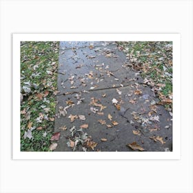 Sidewalk With Leaves Art Print