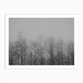 Melancholy Winter Forest Art Print