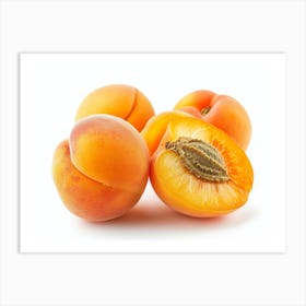 Apricots 15 Art Print