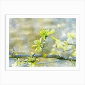 Spring Blossoms 20220402 249rt1ppub Art Print