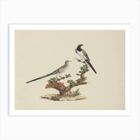 Doves On A Branch 1 Art Print