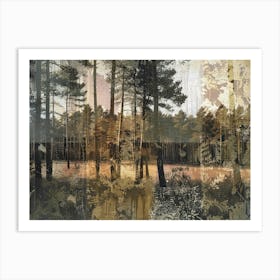 Vintage Forest Photo Collage 9 Art Print