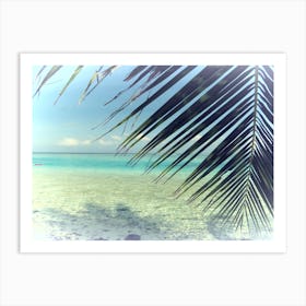 Palm Tree On The Beach Ocean View Art Print