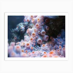 Coral Art Print