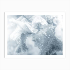 Glass Crystal Flower Art Print