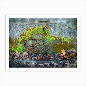 Mossy Stone Wall 202304161747180pub Art Print