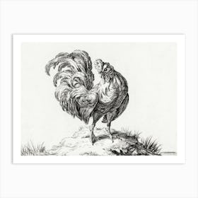 Chicken, Standing On A Hill, Jean Bernard Art Print