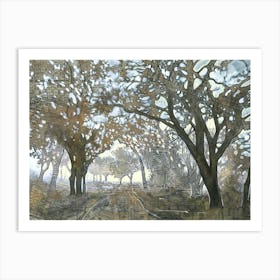 Oaken Path Study 3 Art Print