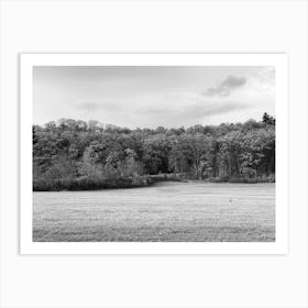 Black And White Field Art Print