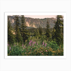 Wildflowers In The Mountains Art Print