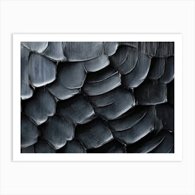 Black Feathers 1 Art Print