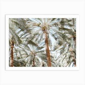 Palm Trees In The Sky Art Print