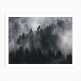 Misty Forest 7 Art Print