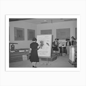 Fsa (Farm Security Administration) Exhibit At State Fair, Dallas, Texas By Russell Lee Art Print