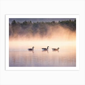 Canadian Geese In Mist Art Print