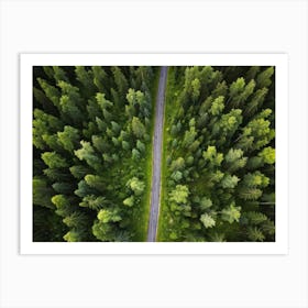 An Aerial View Capturing The Blinding Beauty Of A Life Filled Forest In Sweden Sprawling Spruce And (3) Art Print