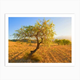 Almond Tree Of Andalusia Art Print