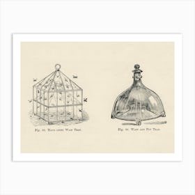 Vintage Illustration Of A Wasp Trap, John Wright Art Print