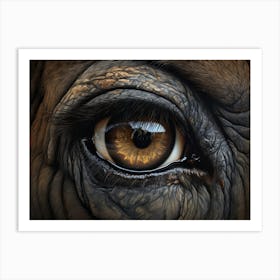 African Buffalo Eye 1 Art Print