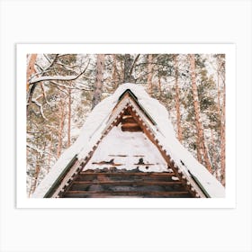 Peak Of Cabin Roof Art Print