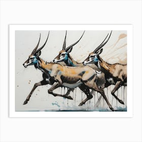 Antelopes Running Art Print