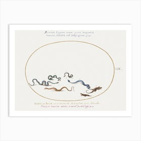 Snakes And A Lizard, Joris Hoefnagel Art Print