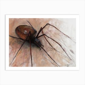 Spider Art Print