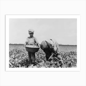 Southeast Missouri Farms, Children Of Sharecropper Picking String Beans By Russell Lee Art Print