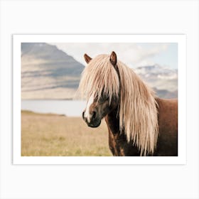 Beige Iceland Horse Art Print