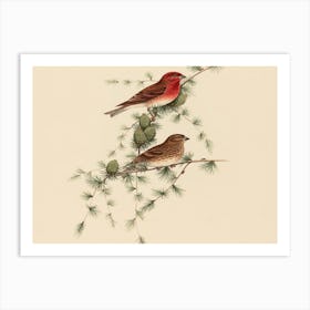 Two Birds Perched On A Branch 2 Art Print