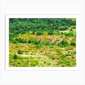 Aerial View Of A Forest 20230816110689pub Art Print