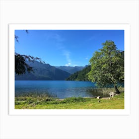 Lake Crescent, Olympic National Park, Washington Art Print