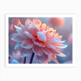 Dahlia Flower Art Print