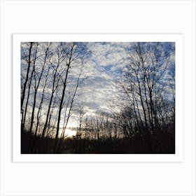 Sunrise Over The Woods Art Print