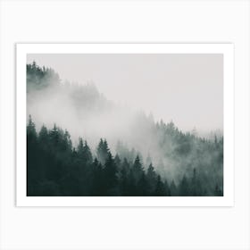 Foggy Forest Art Print