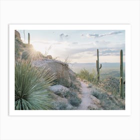 Desert Hiking Trail Art Print