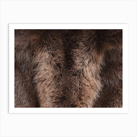 Bison Fur Art Print