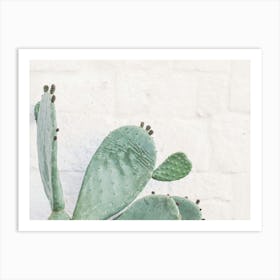 Puglia, Italy I Cactus Angel wings wild boho green in front of white wall with Italian architecture with minimalist geometric travel photography in retro vintage summer pastel dolce vita aesthetic Art Print