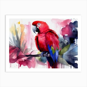 Parrot Watercolor Painting Art Print