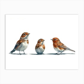 Robin Family Art Print