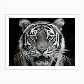 Tiger Art Print