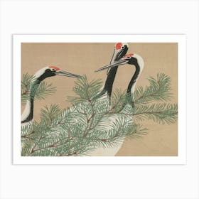 Cranes In A Pine Tree 1 Art Print