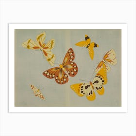 A Thousand Kinds Of Butterflies, Kamisaka Sekka Art Print