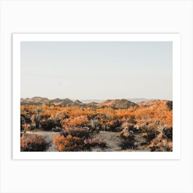 Warm Desert Plants Art Print