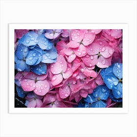 Hydrangeas 35 Art Print