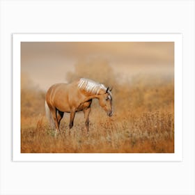 Palomino Horse Art Print