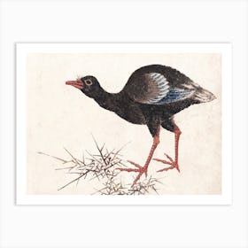Bird, From Album Of Sketches (1814), Katsushika Hokusai Art Print